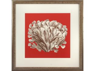 Coral on Red III 22W x 22H