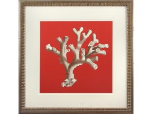 Coral on Red II 22W x 22H