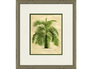 Small Island Palm III 16W x 18H