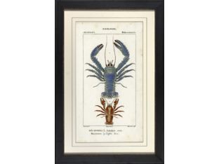 Blue Lobster 29W x 43H